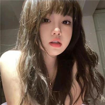森林之北